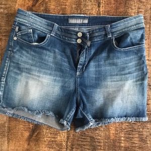 Rock & Republic Bonnaroo shorts women